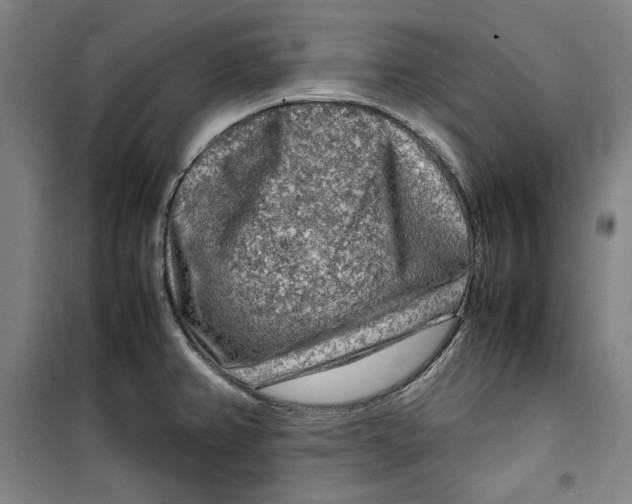 X0000099531382200806061421