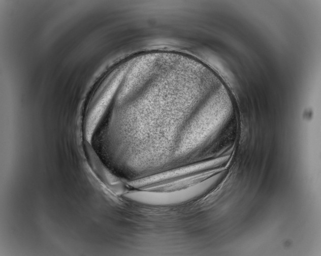 X0000099531384200806061421