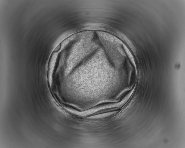 X0000099531386200806061421