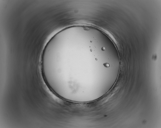 X0000099531387200806061421