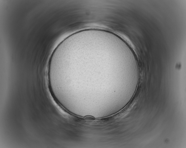 X0000099531391200806061421