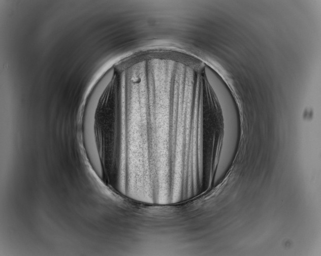 X0000099531392200806061421