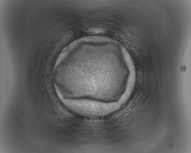 X0000099531393200806061420