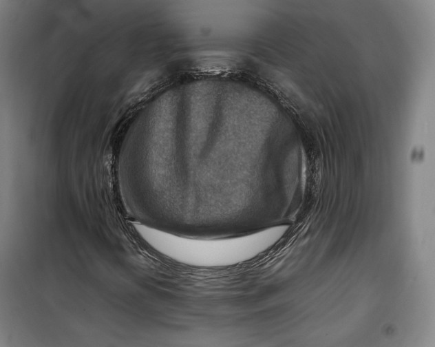 X0000099531394200806061420