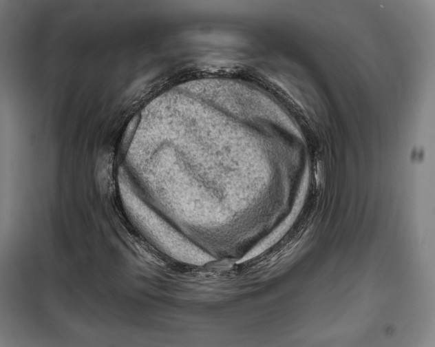 X0000099531396200806061421