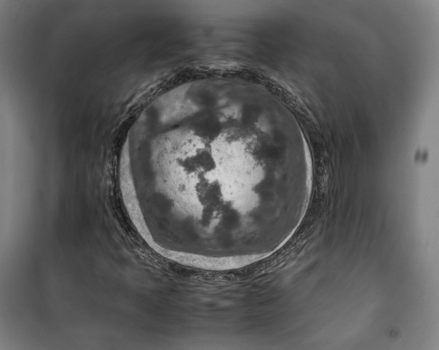 X0000099531397200806061421