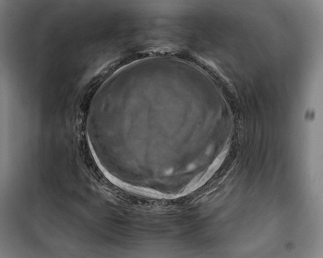 X0000099531399200806061421