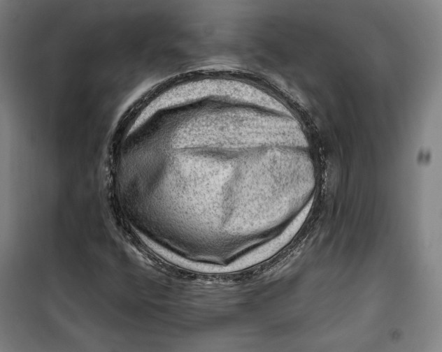 X0000099531400200806061421