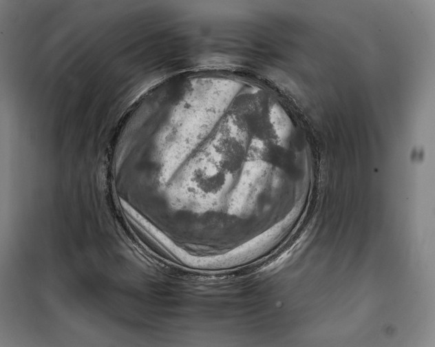 X0000099531401200806061421