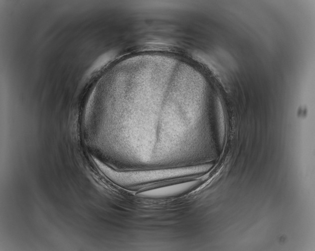 X0000099531403200806061421