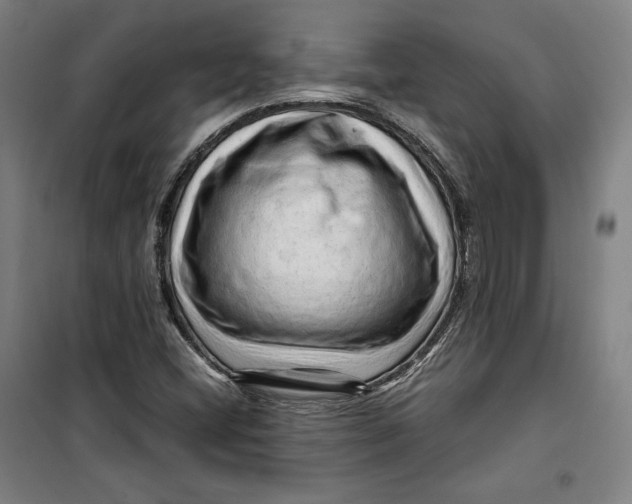 X0000099531404200806061421