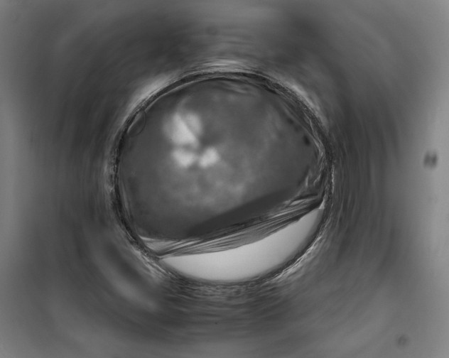 X0000099531405200806061421