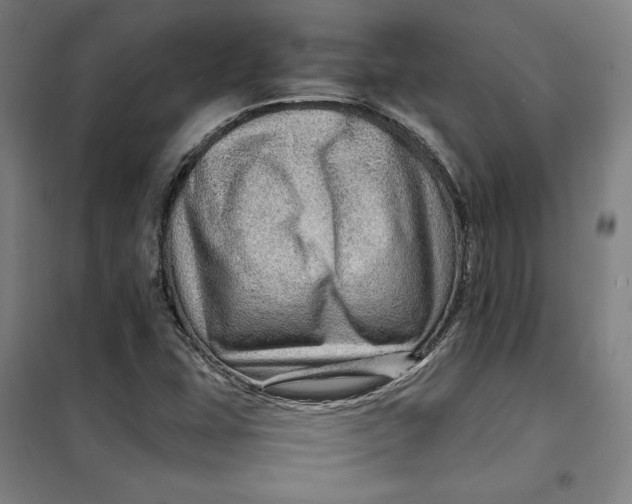 X0000099531407200806061421