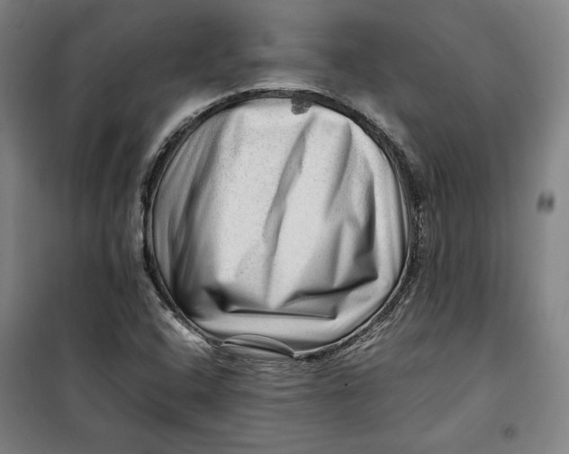 X0000099531408200806061421