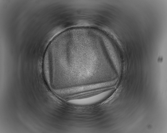 X0000099531409200806061421