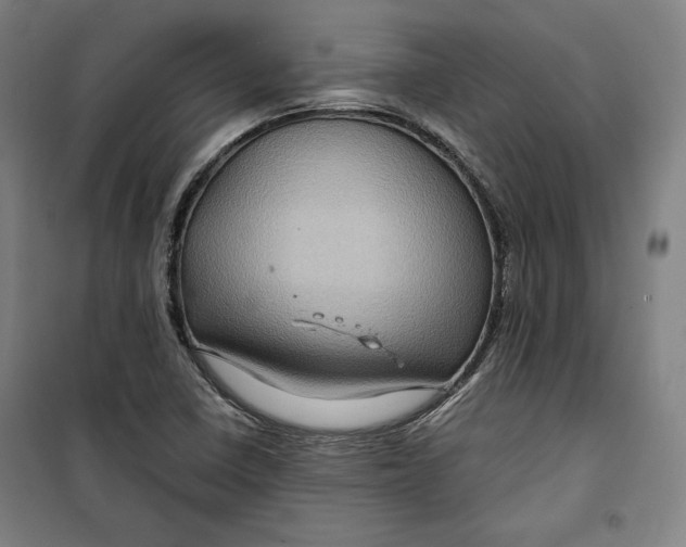 X0000099531410200806061421