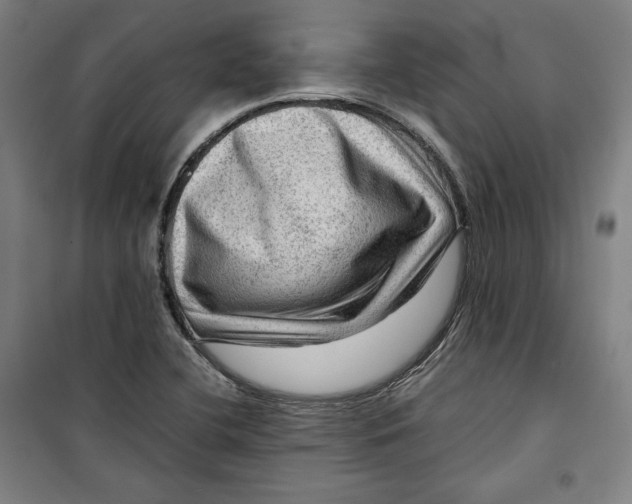 X0000099531412200806061421