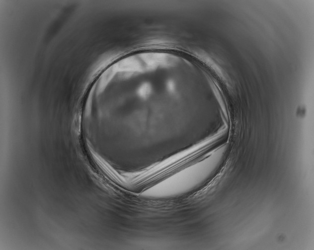 X0000099531413200806061421