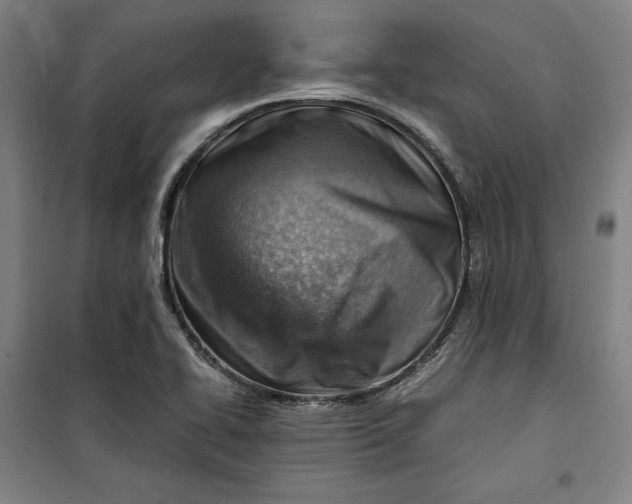 X0000099531414200806061421