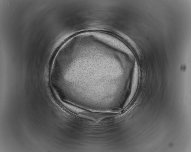 X0000099531415200806061421