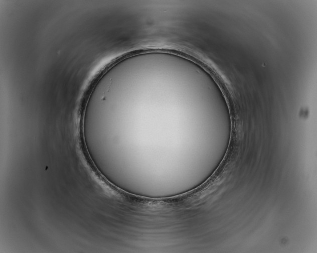 X0000099531416200806061421