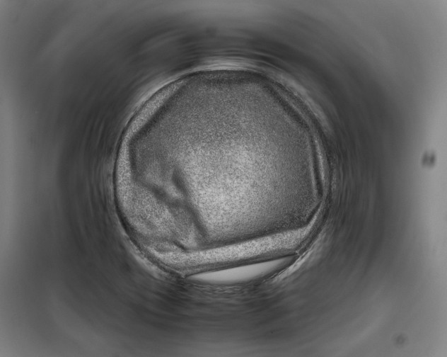 X0000099531417200806061421