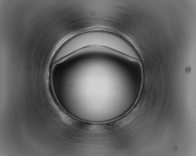 X0000099531418200806061421