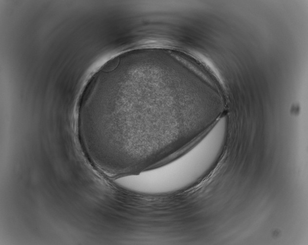 X0000099531419200806061421