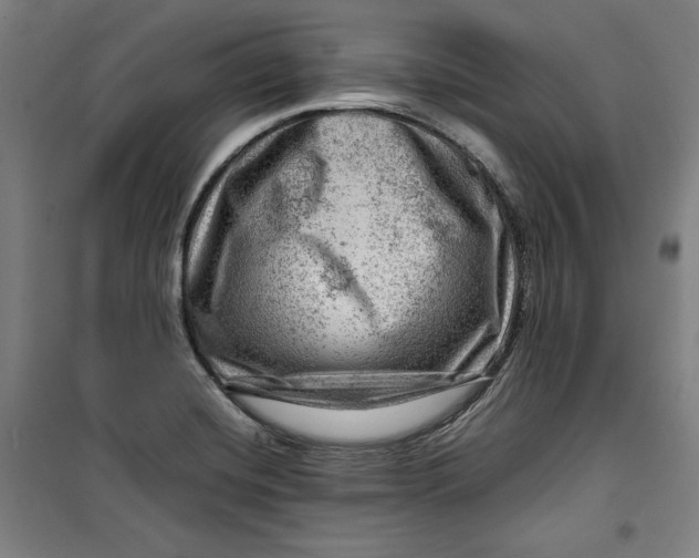 X0000099531420200806061421