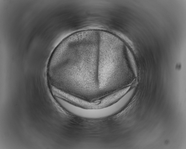 X0000099531423200806061421