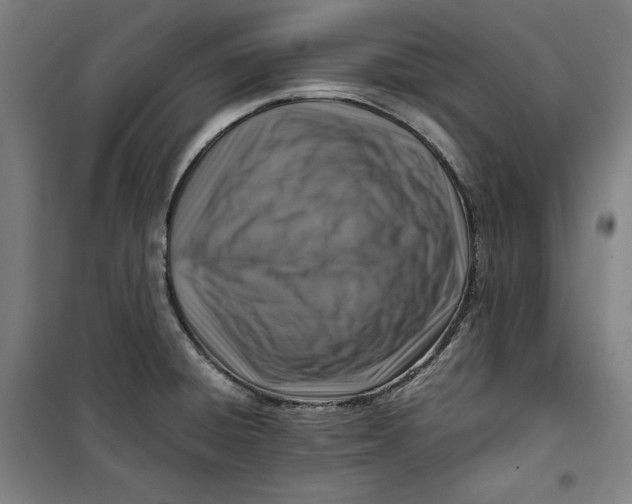 X0000099531428200806061421