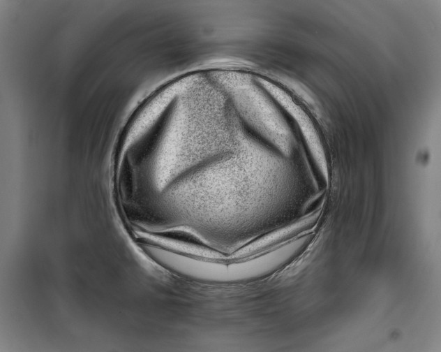 X0000099531430200806061421