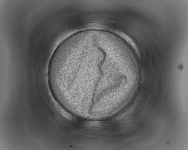 X0000099531431200806061421