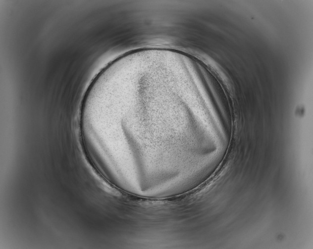 X0000099531432200806061421