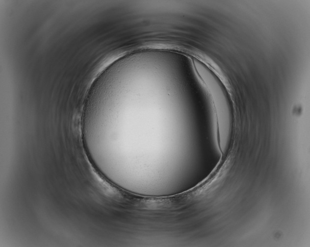 X0000099531433200806061421