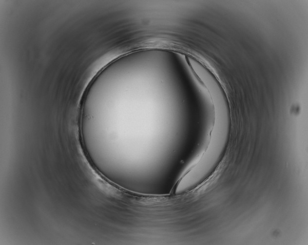 X0000099531434200806061421