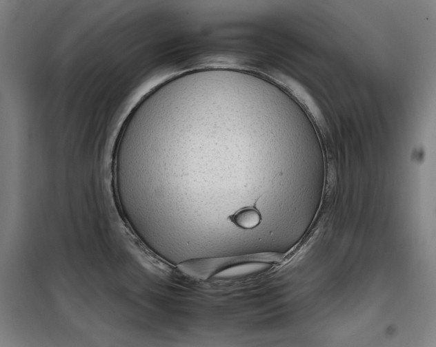 X0000099531435200806061421