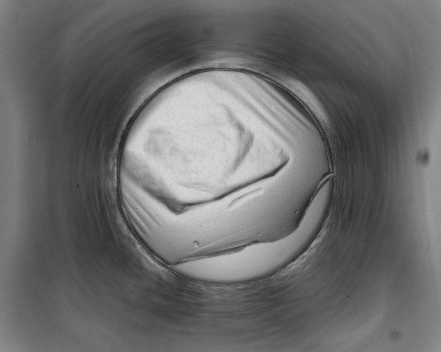 X0000099531436200806061421