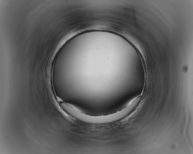 X0000099531437200806061421