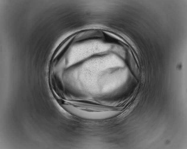 X0000099531438200806061421