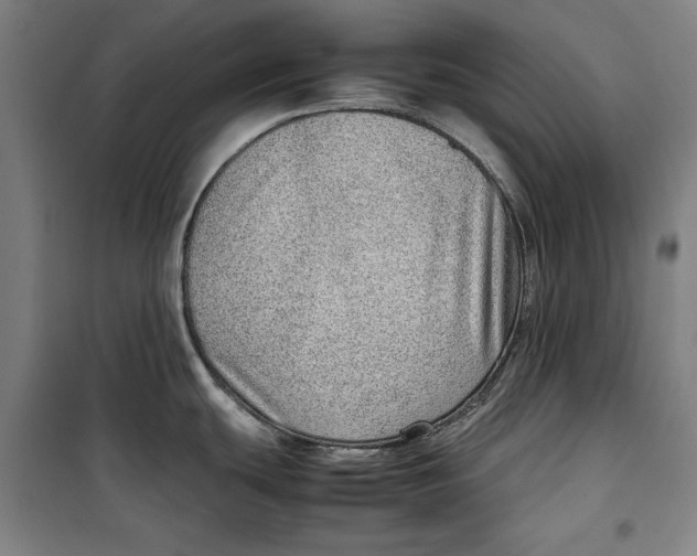 X0000099531439200806061421