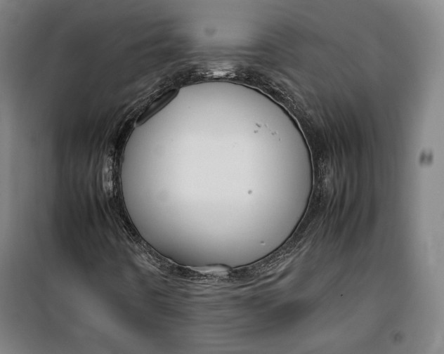 X0000099531442200806061420