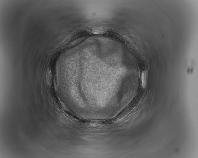 X0000099531443200806061420