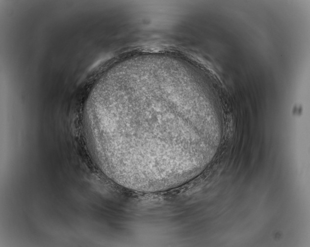 X0000099531446200806061420