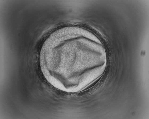 X0000099531447200806061420