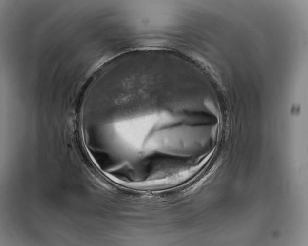 X0000099531449200806061420