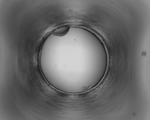 X0000099531451200806061420