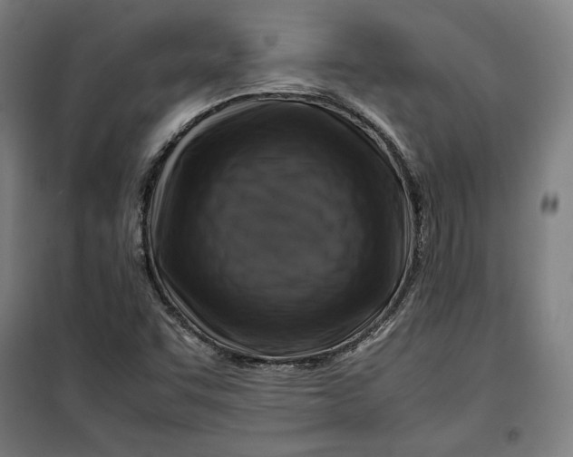 X0000099531455200806061420