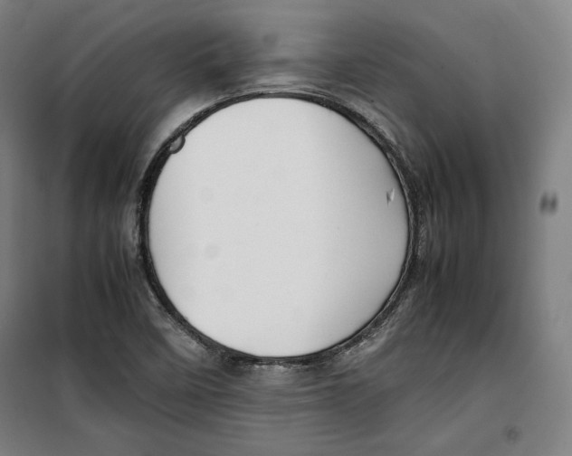 X0000099531458200806061420