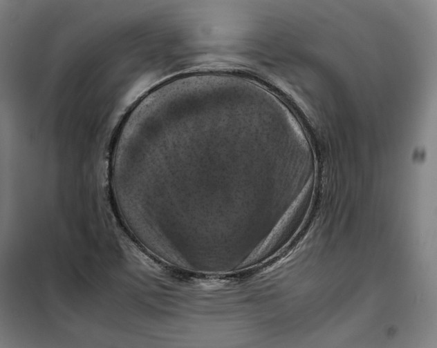 X0000099531459200806061420